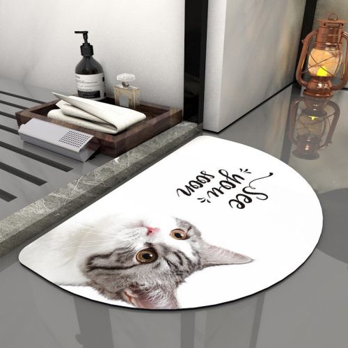 Super Absorbent Bath Rug Quick Drying Non-slip Bathroom Mat Bath Tub Side Area Floor Mats Diatomite Home Doormat Kitchen Carpet Super Absorbent Bath Rug Quick Drying Non-slip Bathroom Mat Bath Tub Side Area Floor Mats Diatomite Home Doormat Kitchen Carpet
